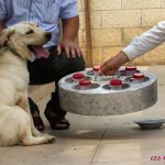 יוזם ומנהל פרוייקט כלבי הסרטן הוא אורי בקמן, מאלף כלבים בעל מוניטין. בקמן מחזיק בעזרה חידושים בתחום הכשרת כלבים לעבודות מיוחדות, כולל כלבי עזר ורפואה.