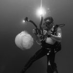 אמיר וייצמן - AQUAZOOM - צילום וידאו תת ימי וצילום סטילס
