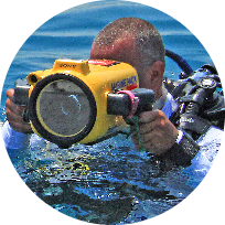 אמיר וייצמן - AQUAZOOM - צילום וידאו תת ימי וצילום סטילס